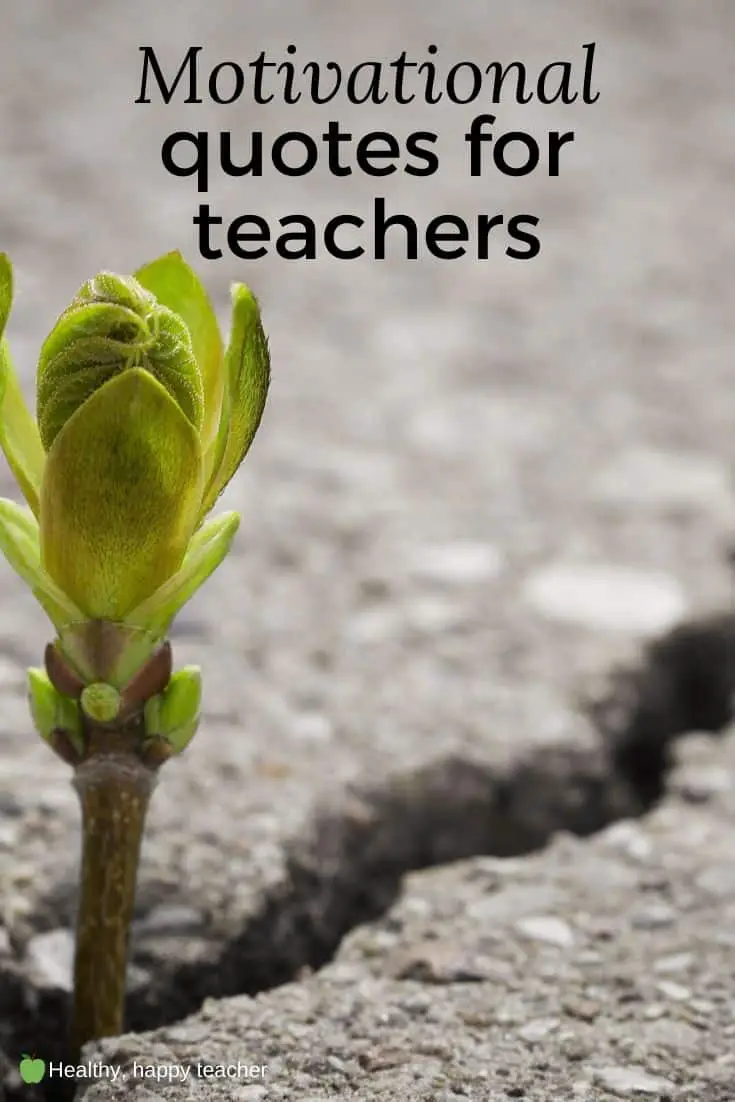 A small green shoot growing through a crack in grey concrete with the text overlay, "Motivational quotes for teachers.".