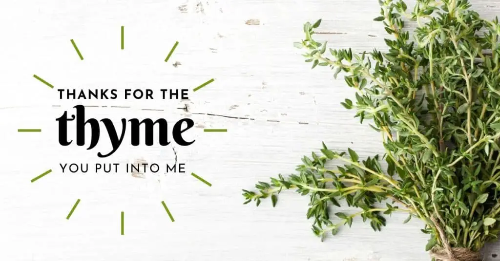A thyme plant with the text overlay, "Thanks for the thyme you put into me."