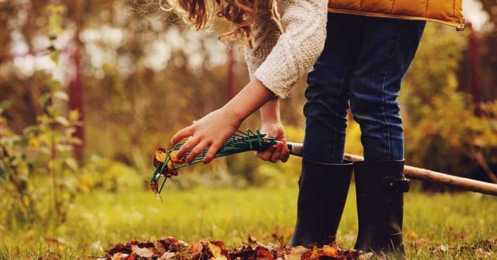 Woman raking leaves