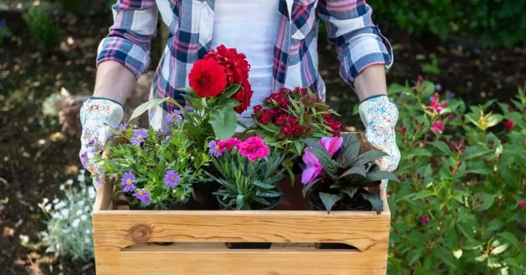 Woman gardening as part of her self care activities on her self care checklist.