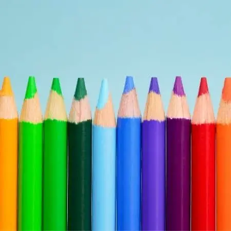 a row of pencils representing teacher organization